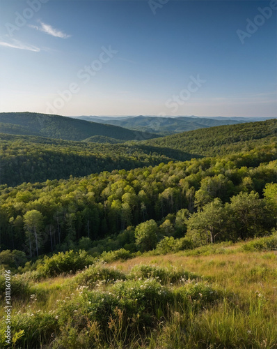 Wallpaper Mural Tranquil Forest Stream with Grass and Sunlit Trees at Sunset, Beautiful Nature Landscape Torontodigital.ca