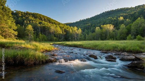 Wallpaper Mural Tranquil Forest Stream with Grass and Sunlit Trees at Sunset, Beautiful Nature Landscape Torontodigital.ca