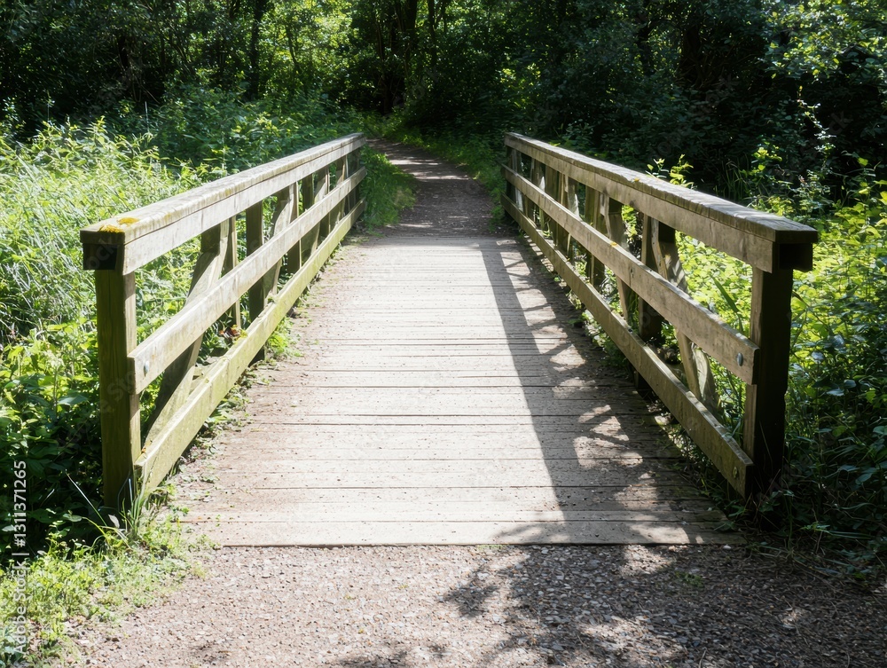 Wooden bridge over a stream, with sunlight and green banks, connecting a summer path in a rural scene Wooden bridge over a stream, with sunlight and green banks, connecting a summer path in a rural scene