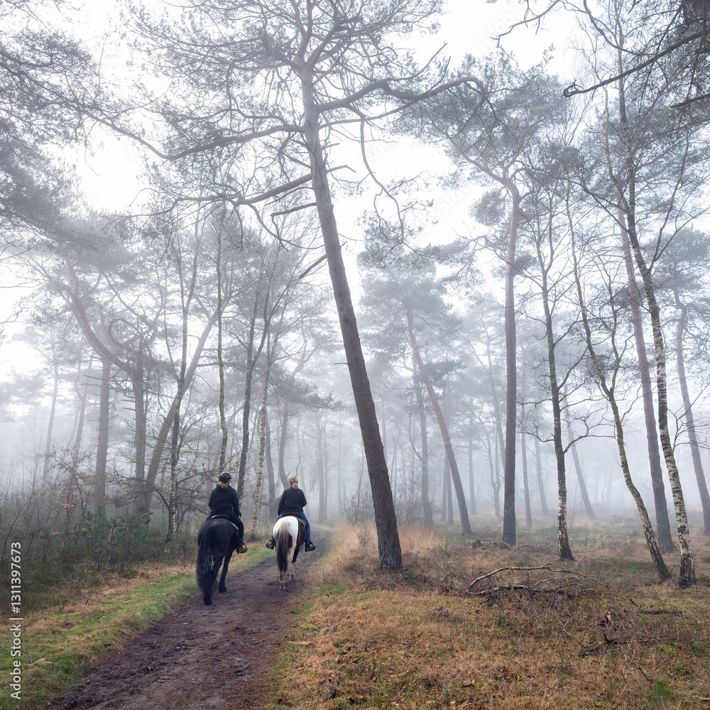 two women on horseback ride in forest area near amersfoort in the netherlands