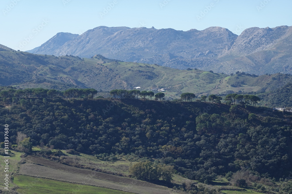 Obraz premium view of Ronda in spring, Andalucia, Spain