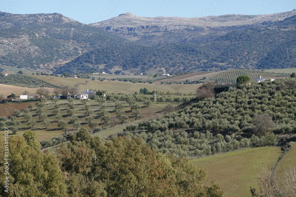 Obraz premium view of Ronda in spring, Andalucia Spain