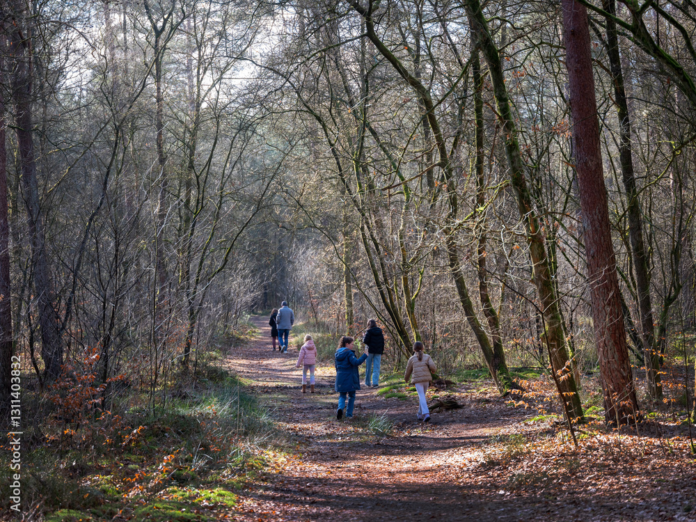 family walks in winter forest near utrecht in the netherlands family walks in winter forest near utrecht in the netherlands