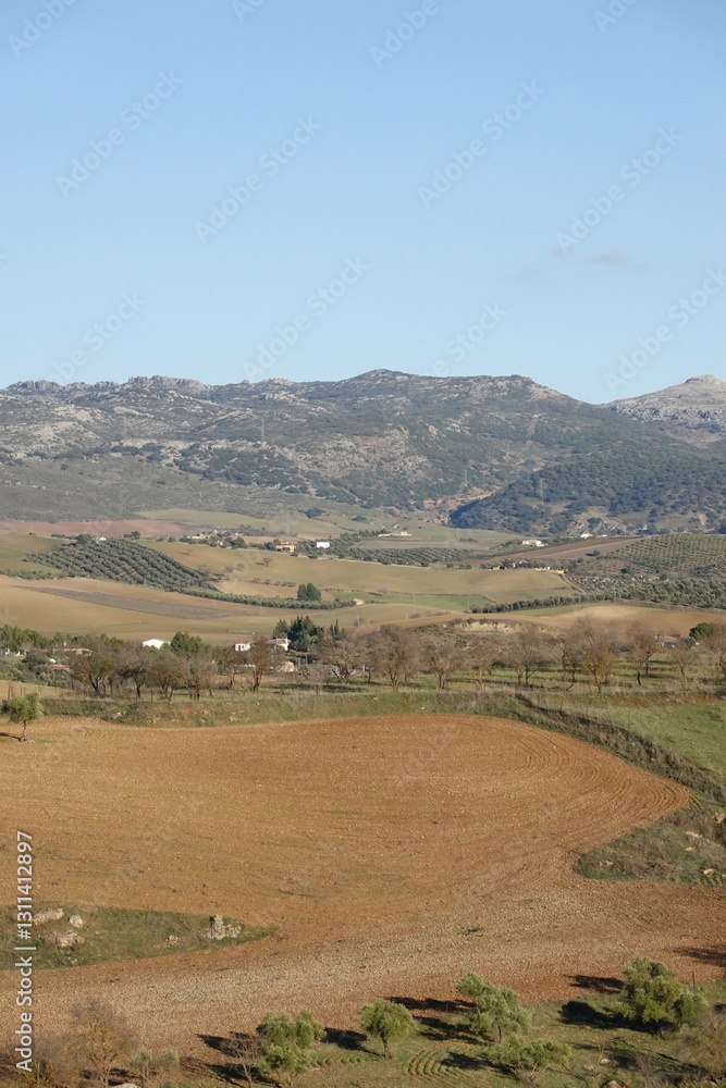 Obraz premium View of Ronda, Andalucia Spain