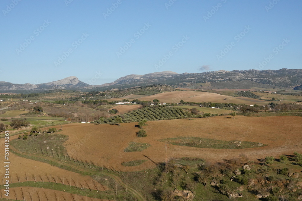 Naklejka premium View of Ronda, Andalucia Spain