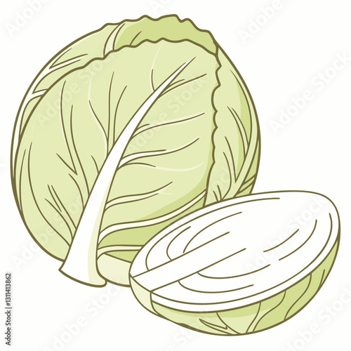 White cabbage sliced and whole on a light background