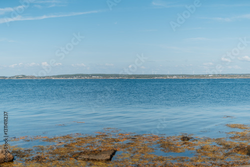 Coastal landscape with seaweed in the foreground and mainland horizon, Frillesås, Sweden