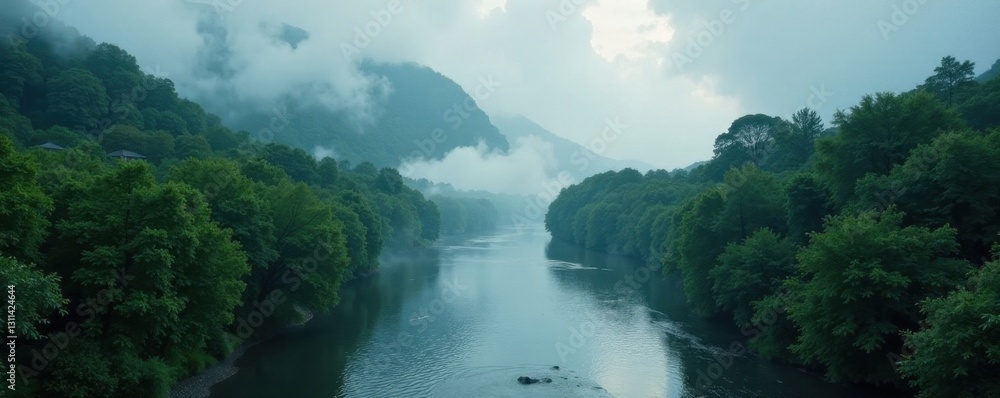 Misty river winds through lush forest, dramatic clouds above , environment, trees Misty river winds through lush forest, dramatic clouds above , environment, trees