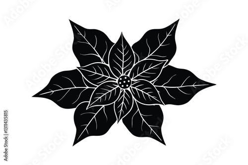 Silhouette art drawing of a poinsettia with layered leaves and intricate petal vector art illustration.eps
