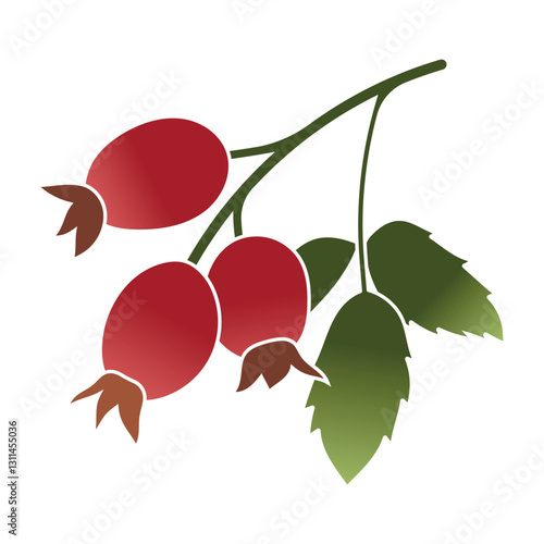 Rosehip with berries colorful clipart hand drawn vector plant illustration isolated on white background for invitations greeting cards food industry packaging design scrapbooking