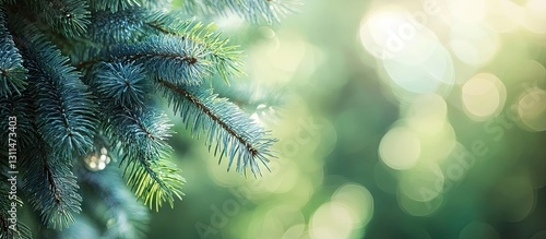 Fresh green spruce needles against a bright and soft blurred bokeh background showcasing vibrant green tones and gentle light highlights.