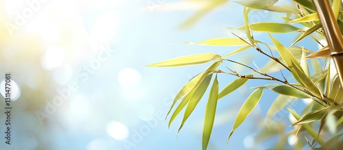 Lush golden green bamboo leaves positioned on the left with a soft blurred blue sky and sunlight creating a serene, tranquil atmosphere.