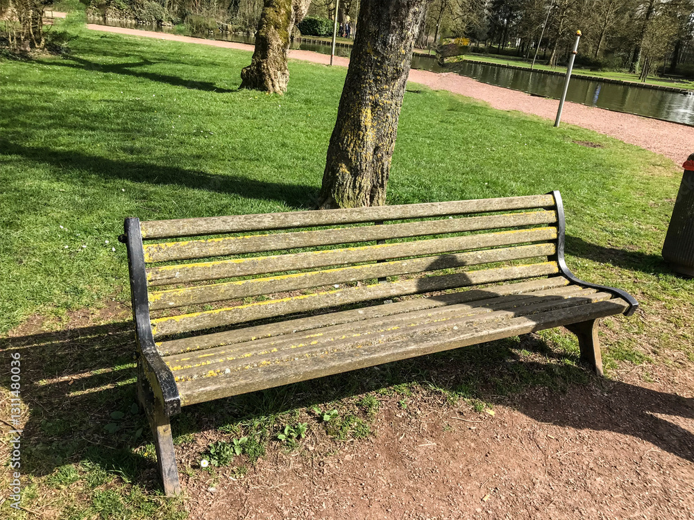 bank park natur grün