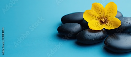 Zen stones arranged with a bright yellow flower on vibrant blue background featuring negative space symbolizes serenity and spa therapy relaxation