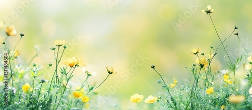 Delicate floral scene featuring yellow flowers amidst soft green grass blurred in the background with ample copy space in a serene atmosphere