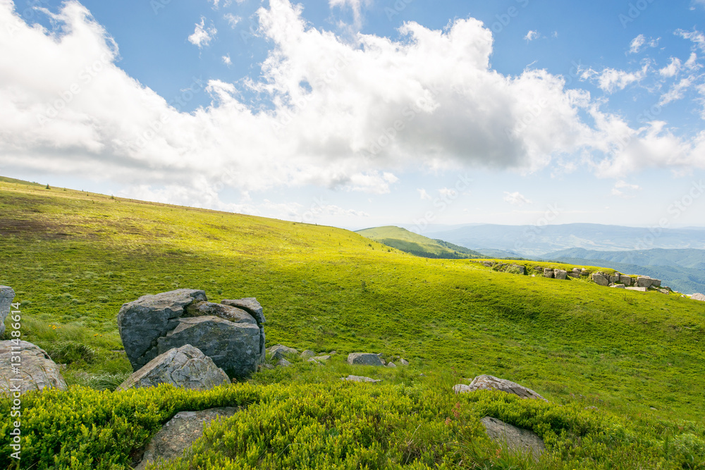 green meadows of carpathian mountain landscape. alpine nature scenery with stones among lush grass on rolling hills beneath a blue sky with clouds. summer vacations in ukraine