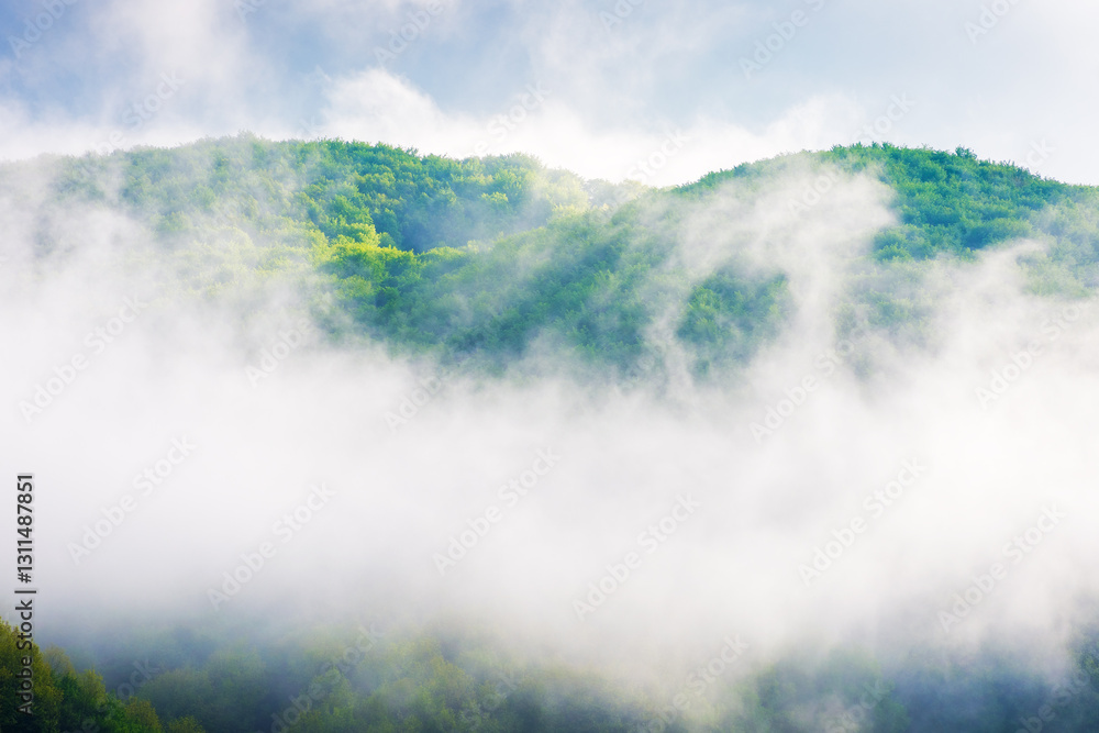 landscape with fog above the deciduous forest on the hill. blue sky with clouds. beautiful foggy weather in the morning. mist in the valley. scenic mountain outdoor background in spring