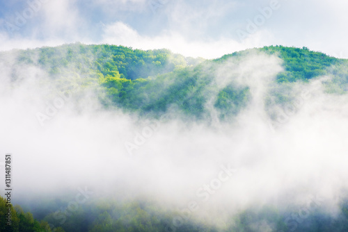landscape with fog above the deciduous forest on the hill. blue sky with clouds. beautiful foggy weather in the morning. mist in the valley. scenic mountain outdoor background in spring