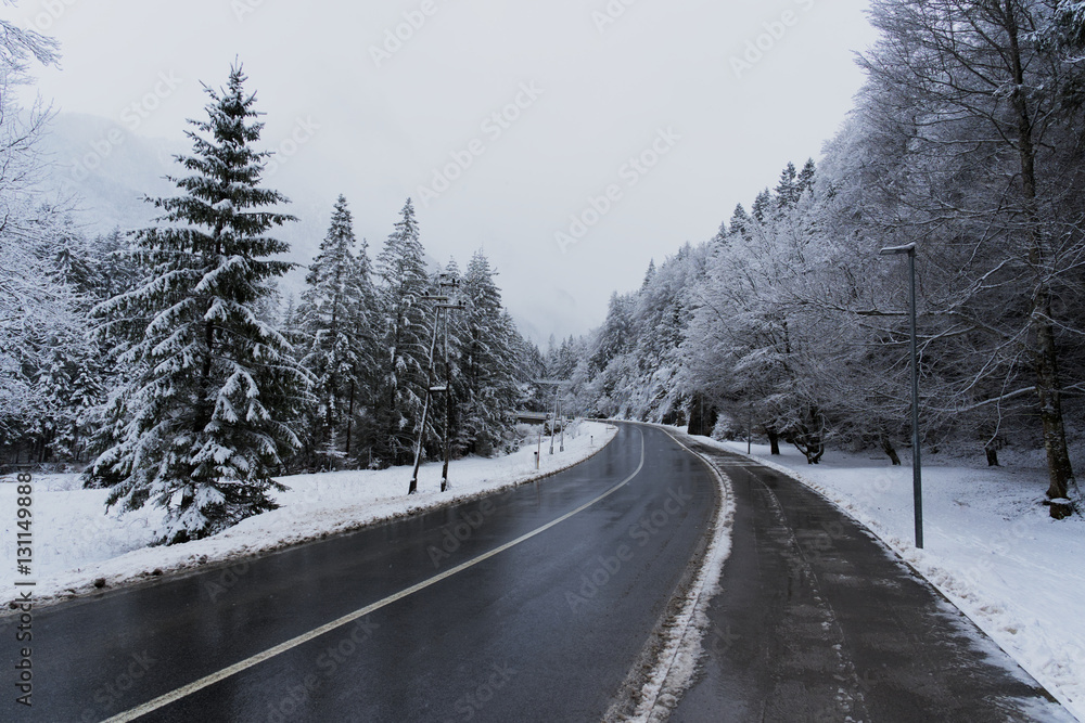 Obraz premium A wet asphalt road curves through a snowy forest under an overcast sky, with snow-laden trees lining the path, capturing a quiet winter travel scene.