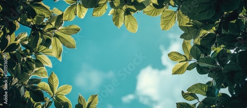Fototapeta Naklejka Na Ścianę i Meble -  Lush green leaves frame a bright blue sky with soft clouds creating ideal copy space for nature-themed designs and advertisements.