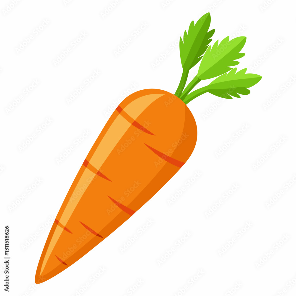 Carrot illustration with green leaves on white background Carrot illustration with green leaves on white background