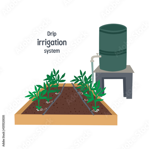 Drip irrigation system for garden using a barrel . Vector illustration