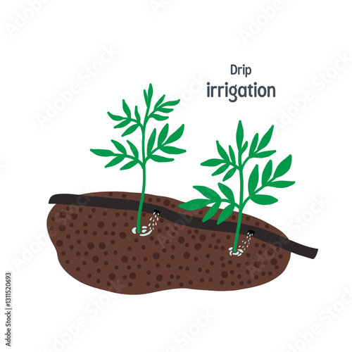 Drip irrigation for garden isolated on white background. Vector illustration