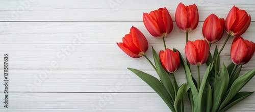 Red tulips with green leaves arranged on a white wooden background top view with ample copy space for text and bright spring gardening theme