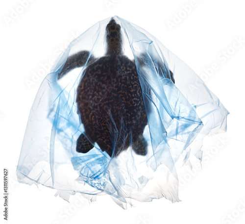 Photo of sea turtle trapped in large blue plastic bag for a campaign against plastic pollution in the ocean.  PNG files are easy to use and compatible with the content data used to compose the image.