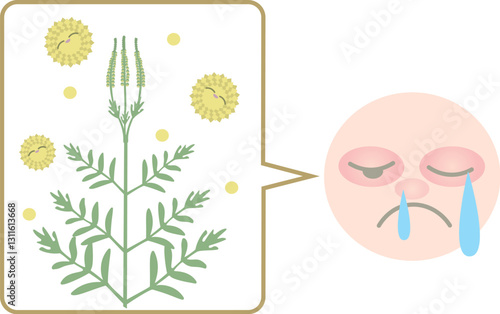ブタクサ花粉と花粉症のイラスト