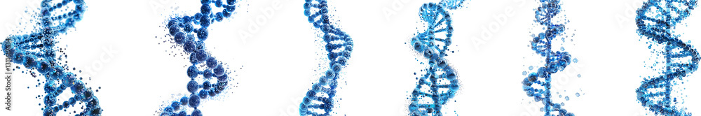 DNA on transparent background collection set DNA on transparent background collection set