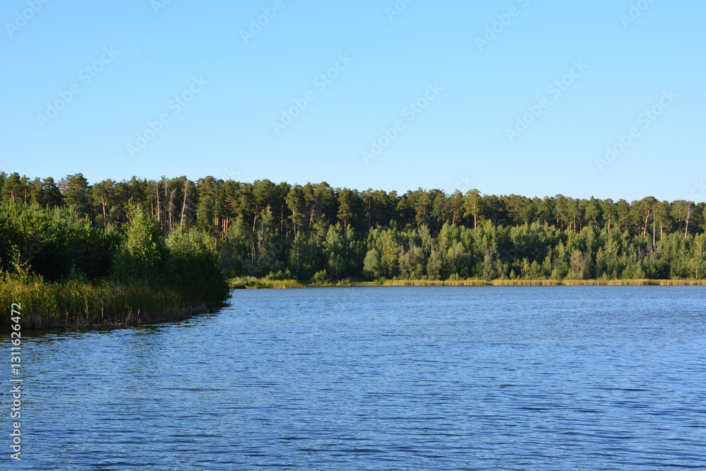 Fototapeta premium blue Lake and Forest and clear sky wallpaper