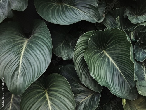 Wallpaper Mural Close-up of lush green tropical leaves with textured patterns and shades. Torontodigital.ca