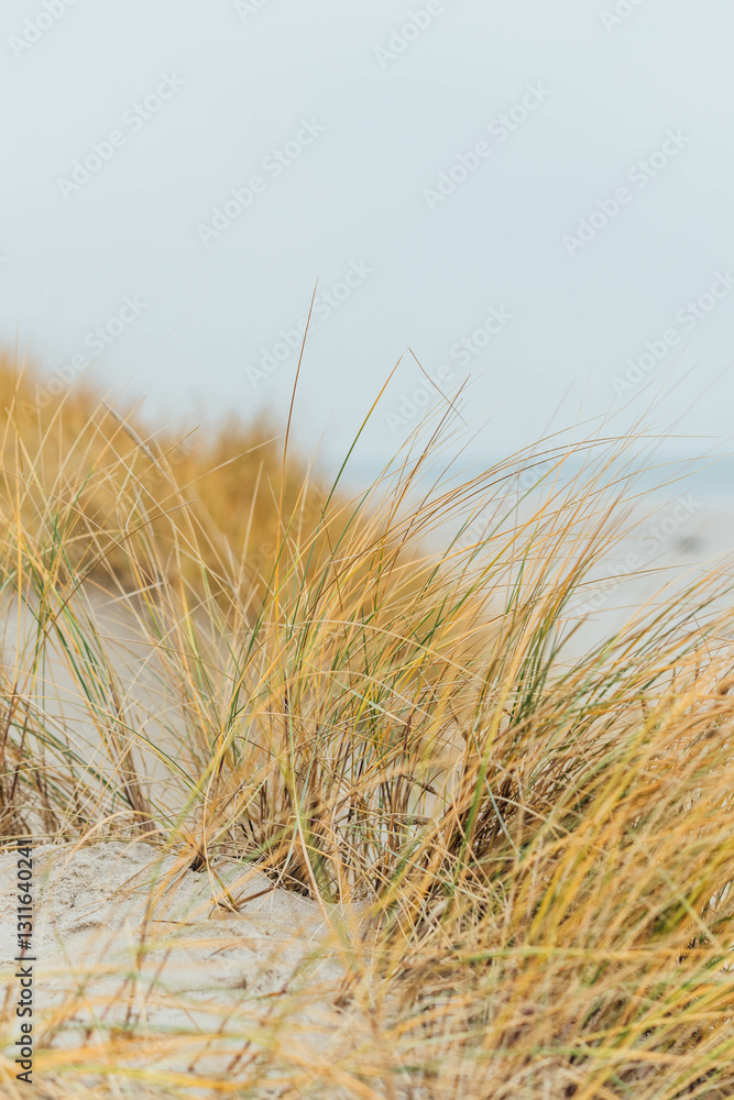 Obraz premium Beach at the Baltic Sea. Coastal scenery with sandy beach, dunes with marram grass and rough sea on winter day