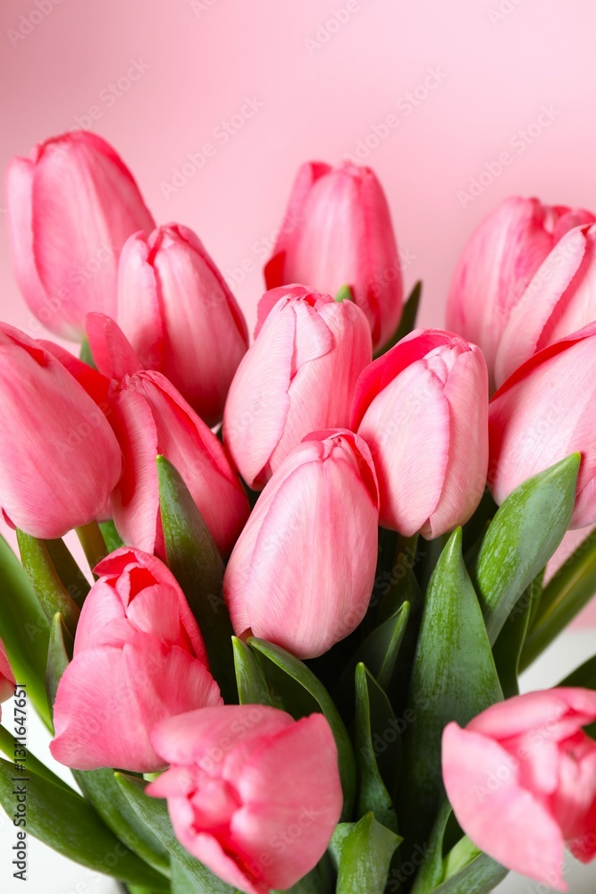 Beautiful fresh tulips on color background Beautiful fresh tulips on color background