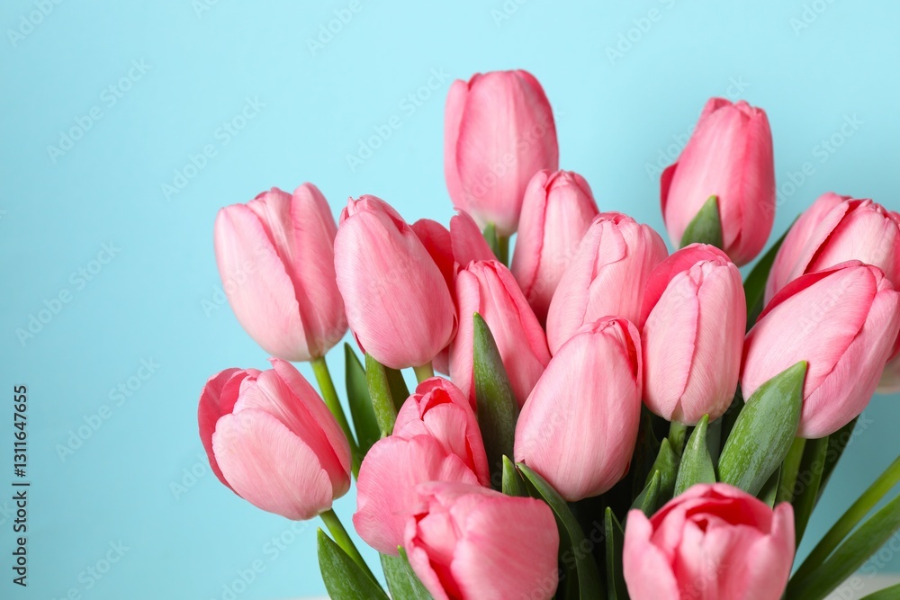 Obraz premium Beautiful fresh tulips on color background