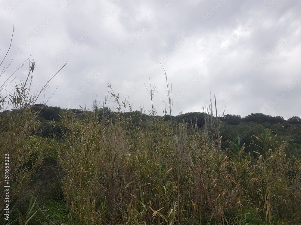 Paesaggio Paesaggio
