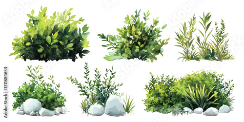Set watercolor tropical green bushes lush shrubs isolated on transparent background