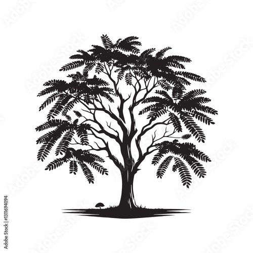 Bilde på lerret Minimalist Black Locust tree Silhouette - Black Locust Tree Vector - Tree Design - Black Locus Tree Illustration