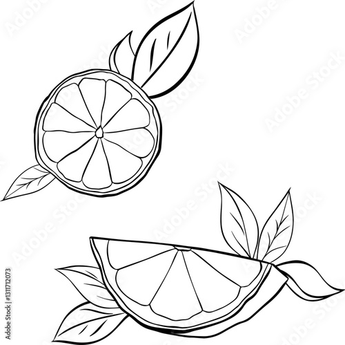lemon slice with leaves graphic line ink composition set. vector black and white isolated on transparent background.  slice of fresh citrus for menu and package designs.