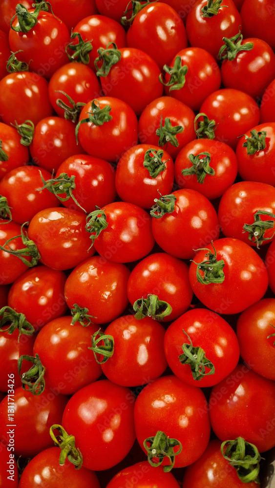 Cocktail Tomato. Top view of ripe red tomatoes. Natural organic food. Healthy eating. Small, oblong, red cocktail tomatoes. Fresh summer vegetables. Tomato background Cocktail Tomato. Top view of ripe red tomatoes. Natural organic food. Healthy eating. Small, oblong, red cocktail tomatoes. Fresh summer vegetables. Tomato background