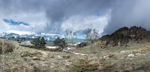 Forest on the mountain slopes of the Lago Naki plateau, Krasnodar Krai, Republic of Adygea. Winter on the Lago Naki plateau.
 photo