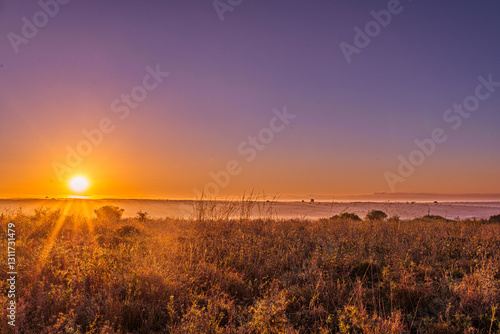 Nairobi National Park is a national park in Kenya that was established in 1946 about 7 km south of Nairobi. It is fenced on three sides, whereas the open southern boundary allows migrating wildlife to