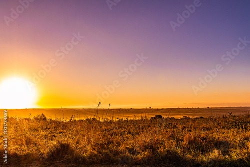 Nairobi National Park is a national park in Kenya that was established in 1946 about 7 km south of Nairobi. It is fenced on three sides, whereas the open southern boundary allows migrating wildlife to