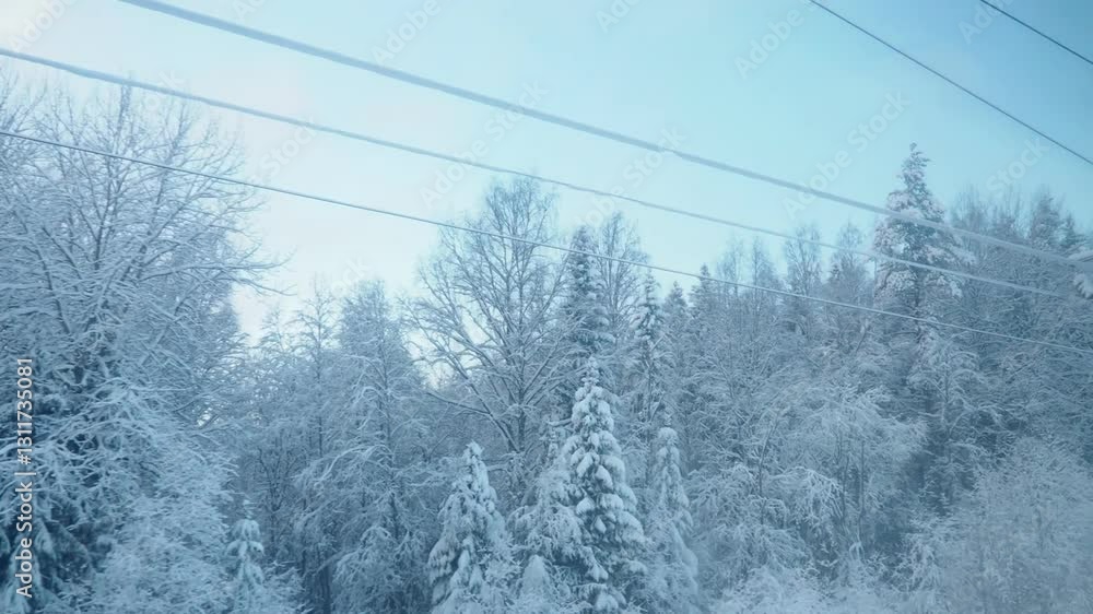 Travel through a stunning winter landscape as a train winds its way through majestic taiga forest. Snow-covered trees and serene scenery create a magical atmosphere. Traveling by rail. Frosty morning Travel through a stunning winter landscape as a train winds its way through majestic taiga forest. Snow-covered trees and serene scenery create a magical atmosphere. Traveling by rail. Frosty morning