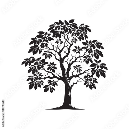 Minimalist Butternut Tree Silhouette - Butternut Tree Design - Butternut Tree Vector - Butternut Tree Illustration.
