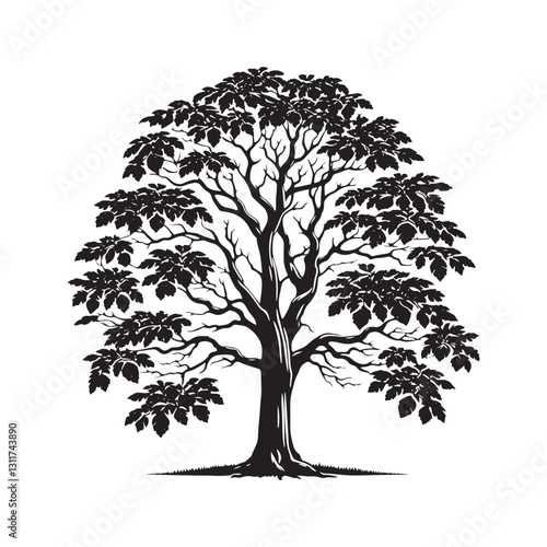 Minimalist Butternut Tree Silhouette - Butternut Tree Design - Butternut Tree Vector - Butternut Tree Illustration.