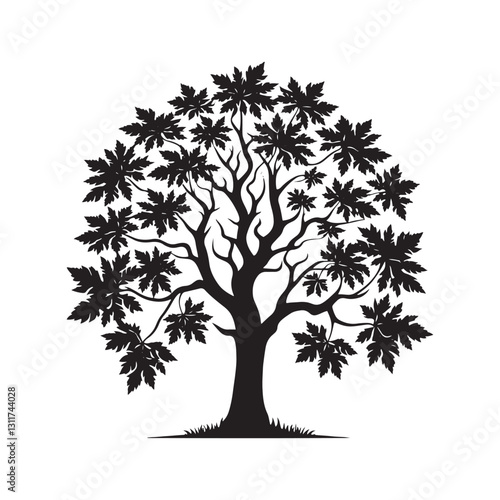 Minimalist Butternut Tree Silhouette - Butternut Tree Design - Butternut Tree Vector - Butternut Tree Illustration.