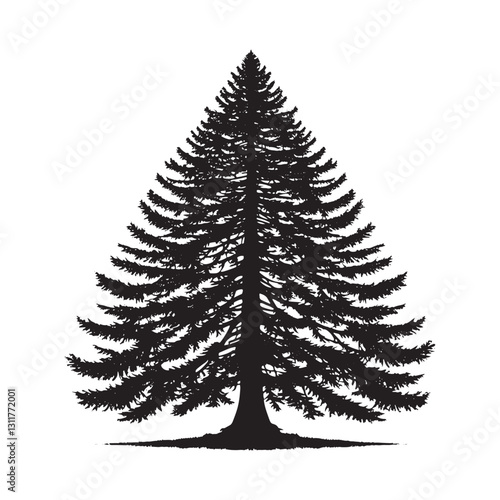 Douglas Tree Silhouette - Minimalist Tree Design - Douglas Tree Vector - Illustration of Douglas Tree.