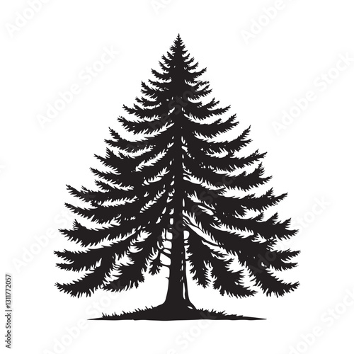 Douglas Tree Silhouette - Minimalist Tree Design - Douglas Tree Vector - Illustration of Douglas Tree.